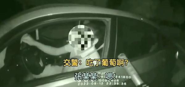 酒駕司機遇查,反復(fù)“甩鍋”葡萄稱自己沒喝酒…… 酒駕司機遇查,反復(fù)“甩鍋”葡萄稱自己沒喝酒……